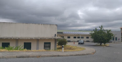 Nutricionista Centro de Saúde de Belmonte (UCSP)