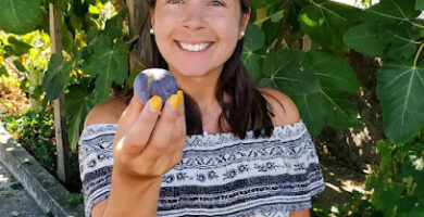 Nutricionista Nutricionista Helena Caires