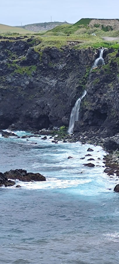 Nutricionista Ginásio Pro Fit